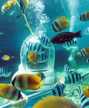 峇里島旅遊(巴里島旅遊)推薦-跳島出海放鬆水療五日遊~蔚藍海岸、海灘活動、海底探險、水上運動