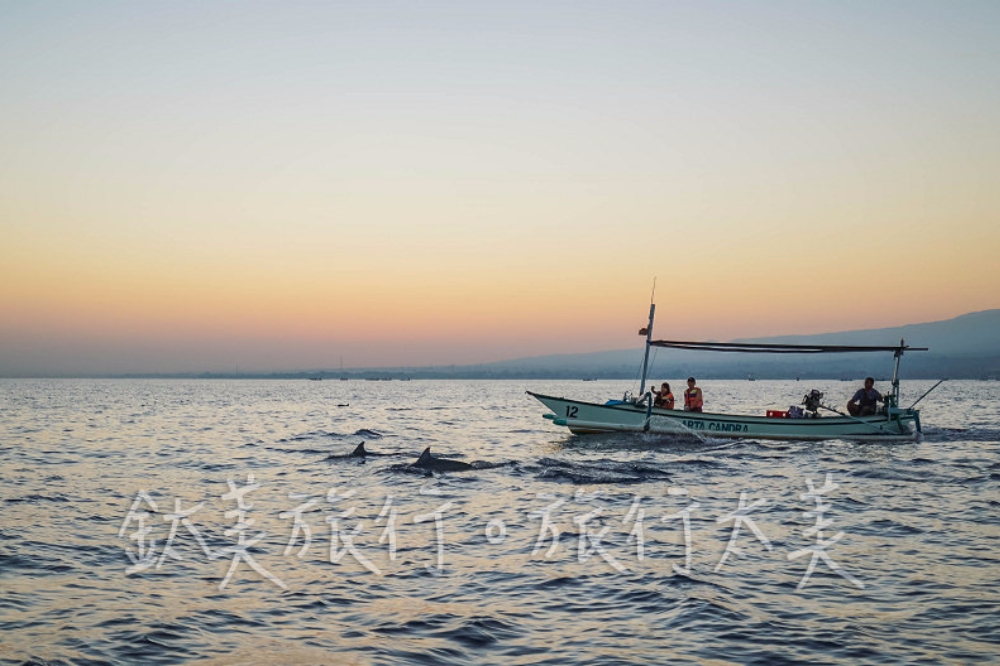 巴里島旅遊推薦-羅威那出海追海豚