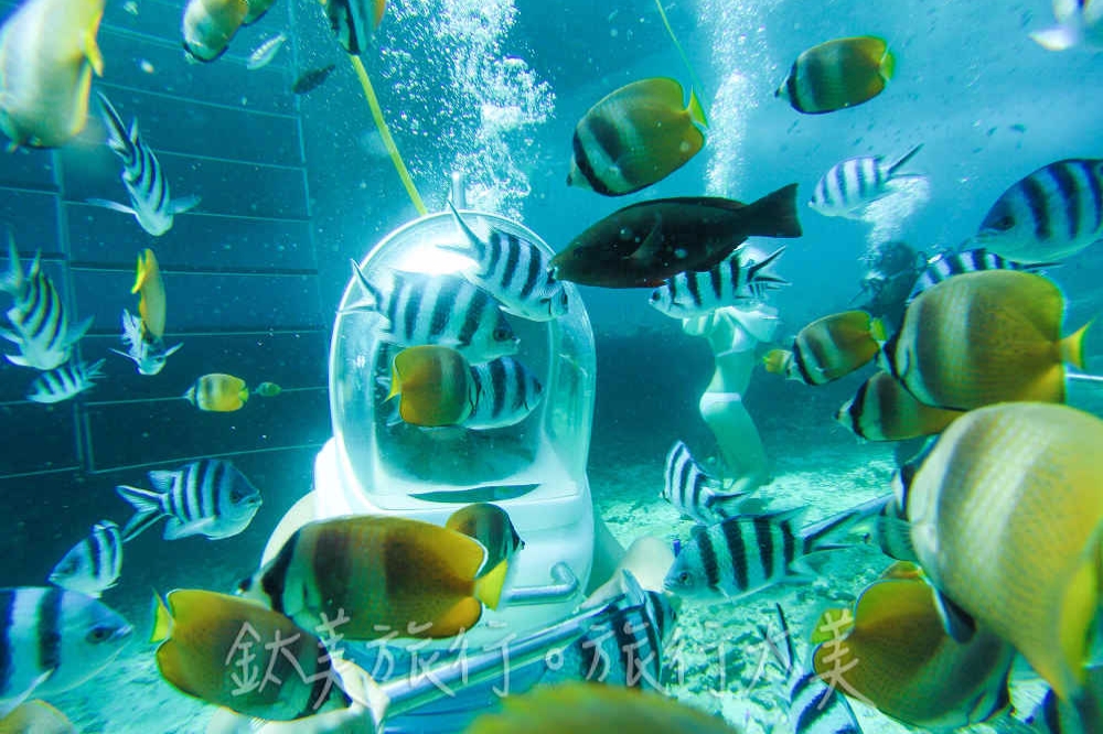 巴里島旅遊推薦-藍夢島水上俱樂部