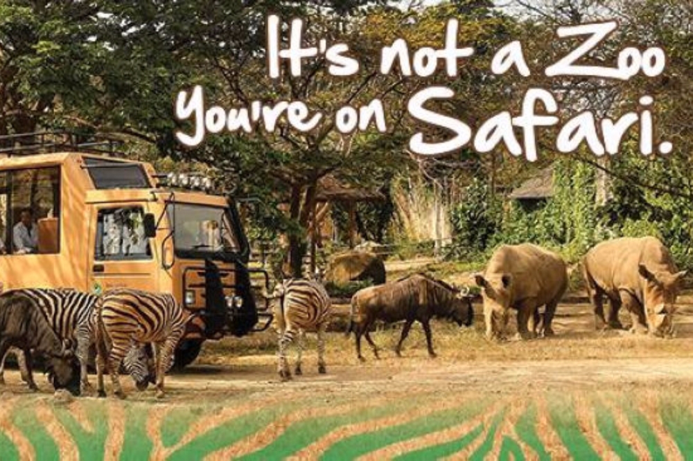 巴里島旅遊推薦-safri動物園
