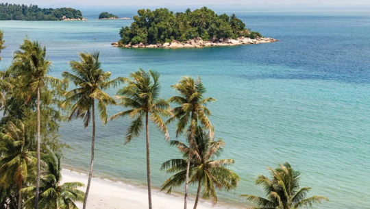 民丹島假日度假酒店