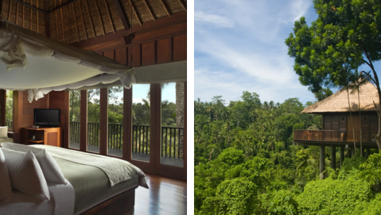 阿麗拉烏布渡假村