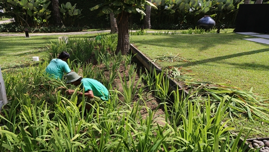 巴里島villa推薦-金巴蘭肉桂渡假別墅