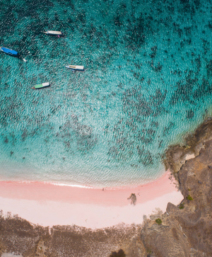 #粉紅沙灘。峇里島、科摩多、梯田火山、精油按摩、探險假期6日 峇里島(巴里島)旅遊推薦-科摩多島、粉紅沙灘、科摩多尋龍、SPA探險假期6日