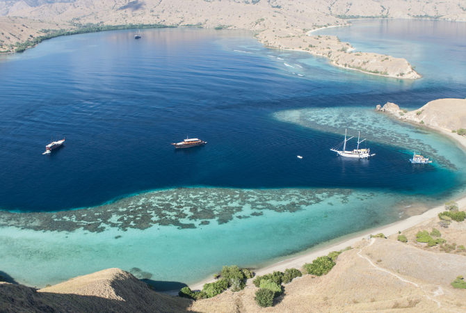 DAY 3 科摩多島跳島一日遊~ 遇見科摩多龍/浪漫粉紅沙灘/與Manta共游/帕達爾島/月牙灣/卡納瓦島浮潛