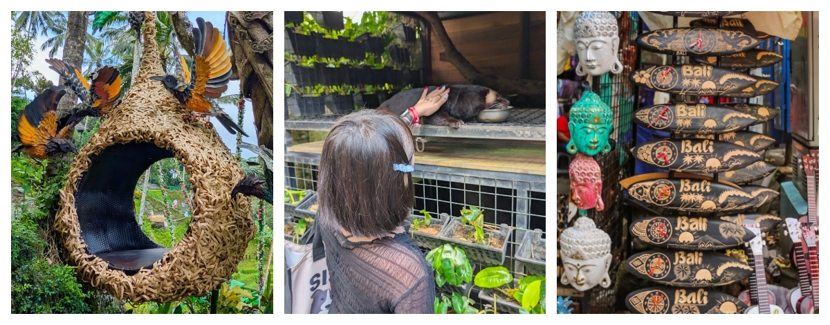 團隊合作日~阿漾河激流泛舟或叢林漂漂河二選一→德哥拉朗梯田~網美拍照鳥巢、玻璃地板景觀台、跟麝香貓互動 (可加訂大鞦韆行程)→烏布傳統市集→髒鴨風味餐+香烤沙嗲