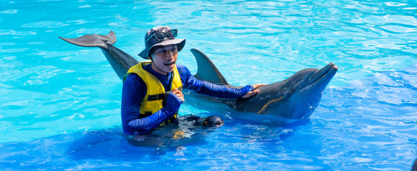 享受渡假村內設施→海豚公園與海豚近距離互動 (拍照、餵食、贈送照片電子檔一張)→港式料理點心→夜遊庫塔市區
