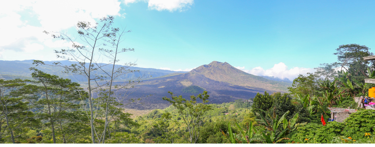 眺望巴杜爾火山→Ins風格火山景觀餐廳→烏布皇宮→烏布傳統市集→叢林之魚河谷景觀俱樂部(飲品門票自理)→髒鴨風味餐+香烤沙嗲