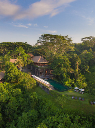 渡假村內自由時光→火山景觀餐廳享用午餐→德哥朗梯田&近距離觀看麝香貓(可加訂大鞦韆與攝影空拍活動)→泰式風味餐