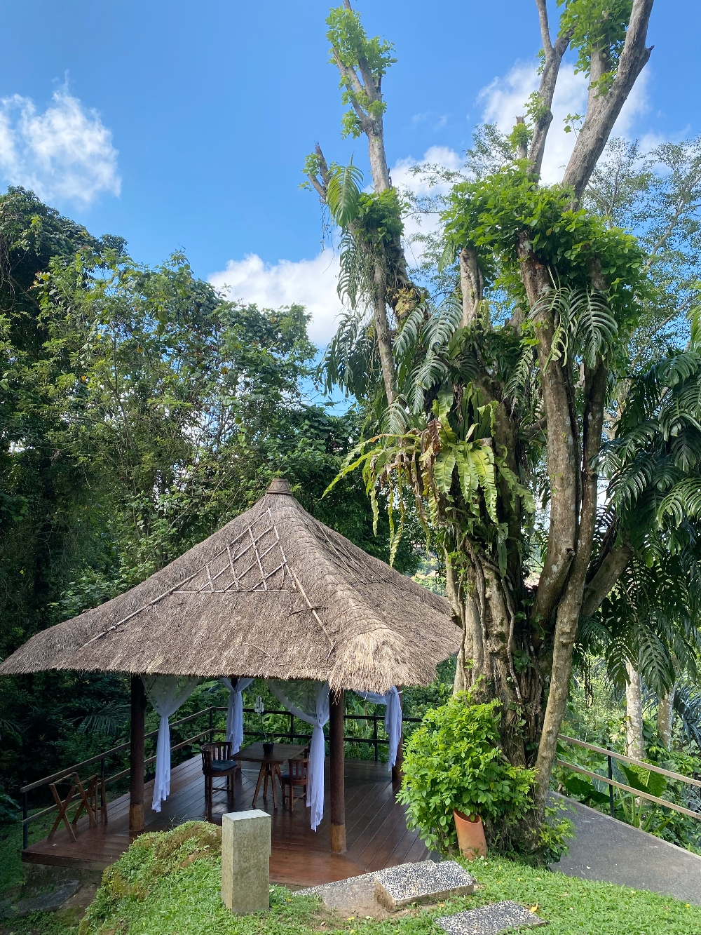 Alila ubud
