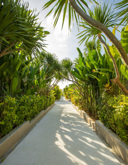 別墅享用早午餐(牛排套餐)→咖啡工廠【真】麝香貓咖啡一杯→峇里島→台北