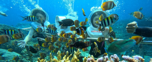 快樂出海日~藍夢島全日遊(贈送海底漫步一次 / 香蕉船 / 水上沙發 / 浮潛 / 滑水道 / 島上觀光)→返回本島→Sanur Icon Bali逛街