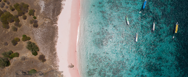 峇里島機場→科摩多機場→碼頭登船→Kelor Island(建行登頂+玩水)→午餐→Manjarite Island (浮潛點)→Kalong Island (紅樹林、蝙蝠、日落)→Padar Island停船(為明天登頂日出做準備)