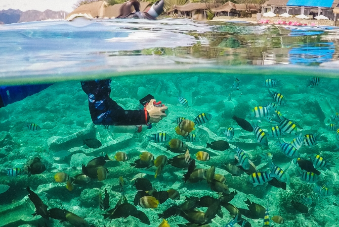 鈦美旅行社-巴里島龍目島行程推薦