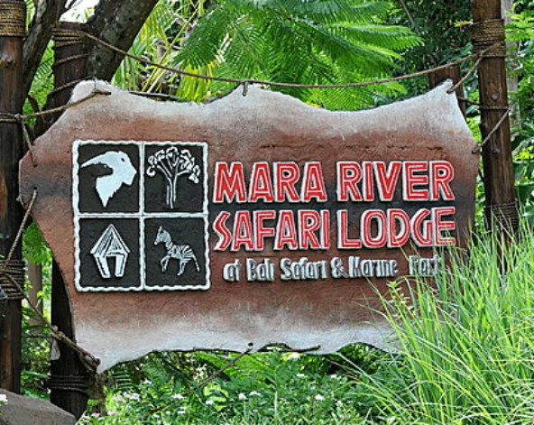 BALI SAFARI野生動物園+ UMA餐廳+冷氣車遊園+BALI AGUNG大型表演秀+戶外動物表演→活海鮮風味餐