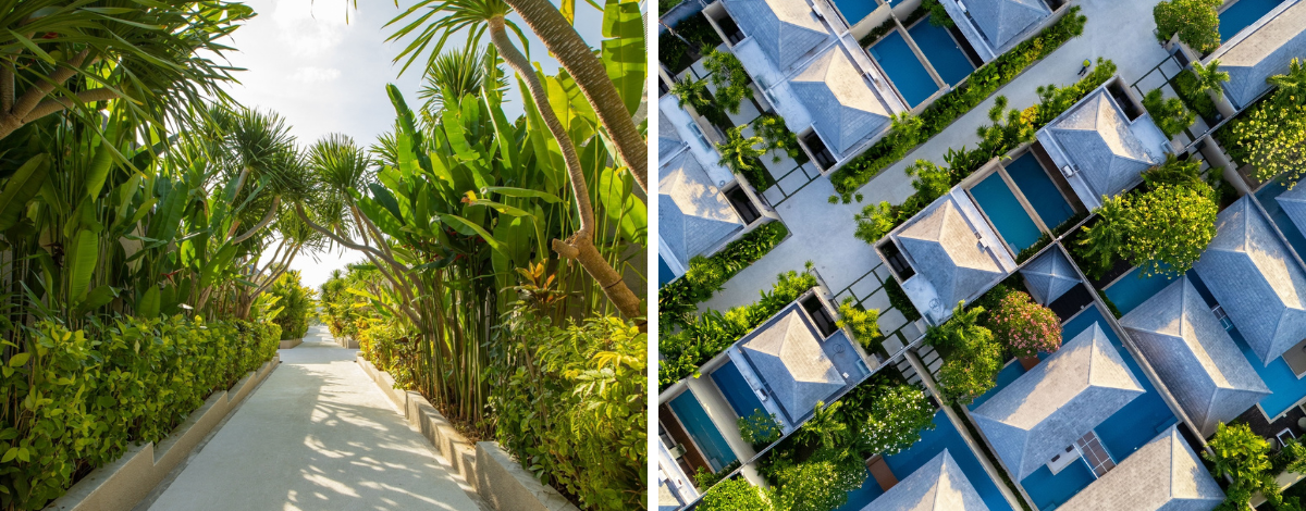 贈送:咖啡工廠【真】麝香貓咖啡一杯→酥骨雞風味餐→機場→台北