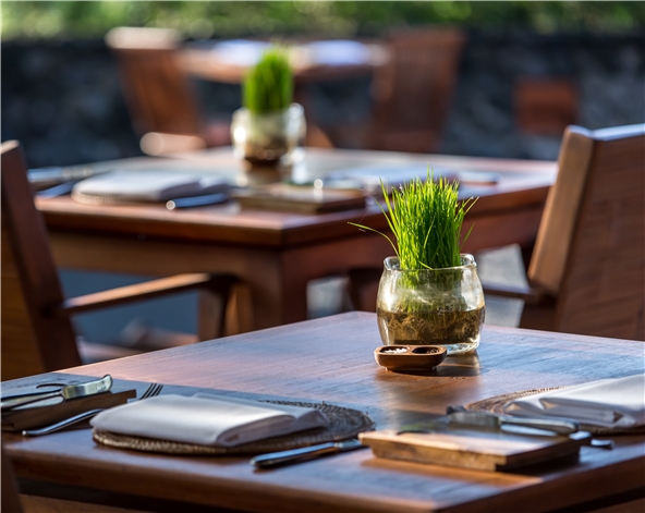 巴里島spa推薦-ALILA UBUD
