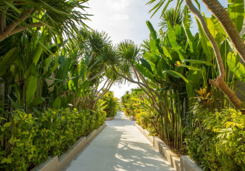 別墅西式早午餐(牛排套餐)→當地超市採買→機場→台北