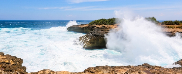 碼頭登船前往藍夢島→沙灘俱樂部享受海上浮潛、沙發船、香蕉船、海底漫步、環島觀光→活龍蝦海鮮風味