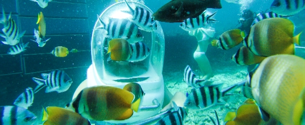 巴里島旅遊推薦-藍夢島沙灘俱樂部海上浮潛-沙發船-香蕉船-海底漫步