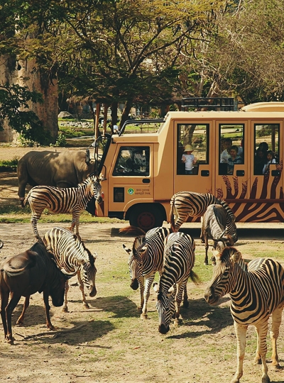 行程二選一：野生動物園一日遊 或 ATV越野車+吉安雅瀑布→巴里島最新開幕ICON BALI MALL→義式風味晚餐+招待義式冰淇淋