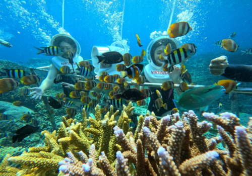 精彩活動二選一(Bali Safari野生動物園或藍夢島海上樂園)→孩子最愛的義大利麵+招待冰淇淋一球
