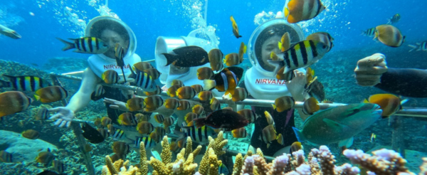 精彩活動二選一(Bali Safari野生動物園+峇里島鳥園公園下午茶或藍夢島海上樂園)→港式料理吃到飽