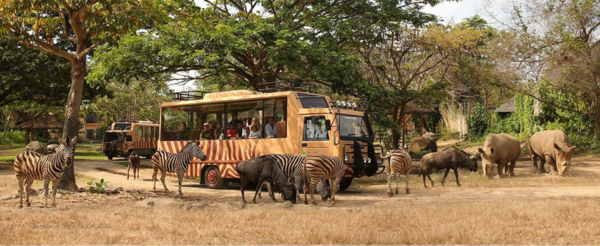 精彩活動二選一(Bali Safari野生動物園+峇里島鳥園公園下午茶或藍夢島海上樂園)→港式料理吃到飽