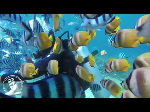 巴里島旅遊推薦-海底漫步水上俱樂部影片